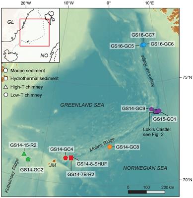 Hydrothermal activity fuels microbial sulfate reduction in deep and distal marine settings along the Arctic Mid Ocean Ridges